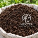 vermicompost